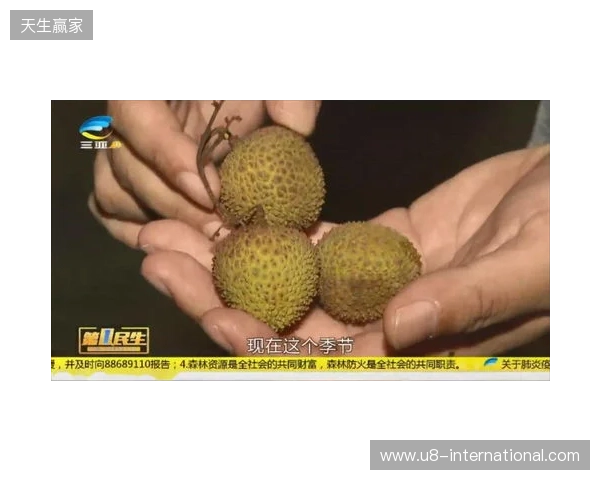 穆德里克因车窗贴膜颜色过深被拦下后,被发现禁驾期内驾驶 穆德里克因车窗贴膜颜色过深被拦下后,被发现禁驾期内驾驶