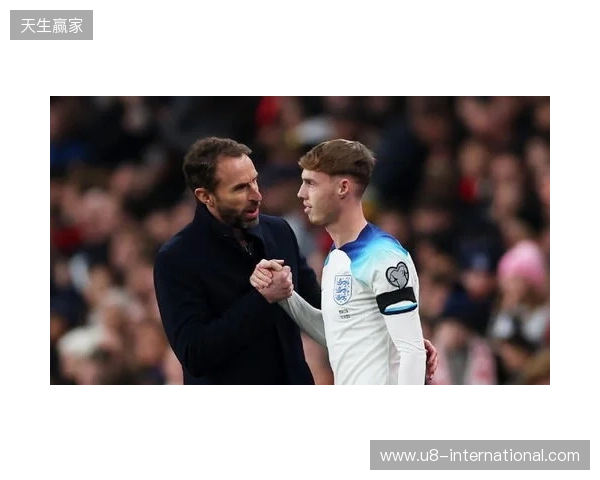 图赫尔谈10号位：一阶段考察帕尔默&福登；二阶段贝林&罗杰斯